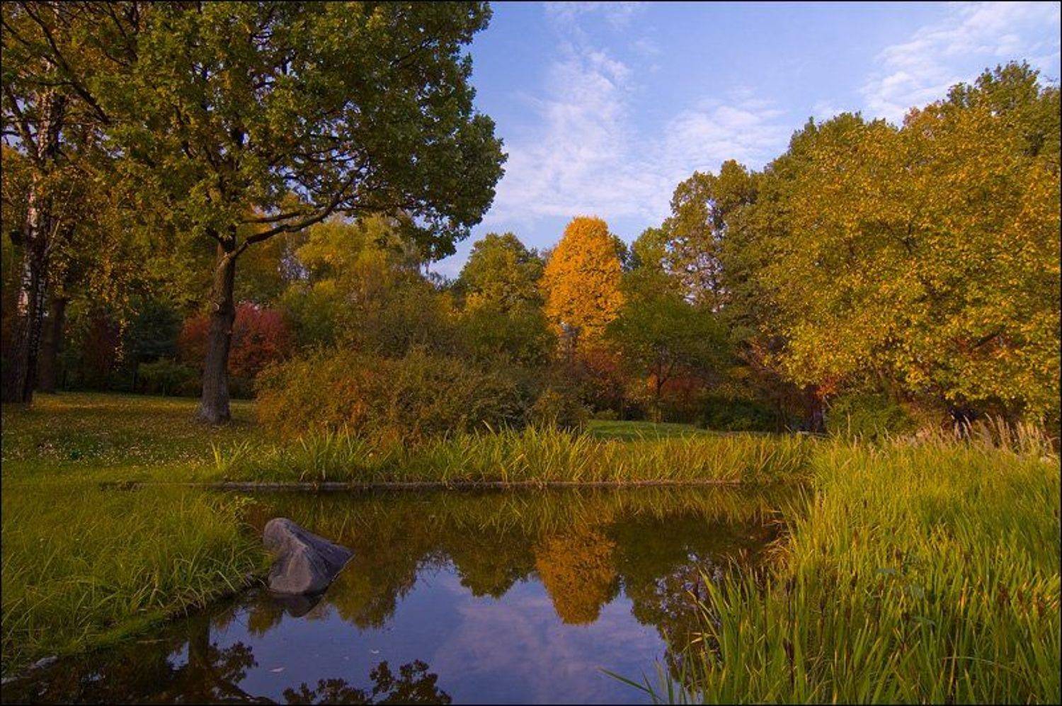 природа, весна, очень, сад, листья, деревья, зелень, Павел