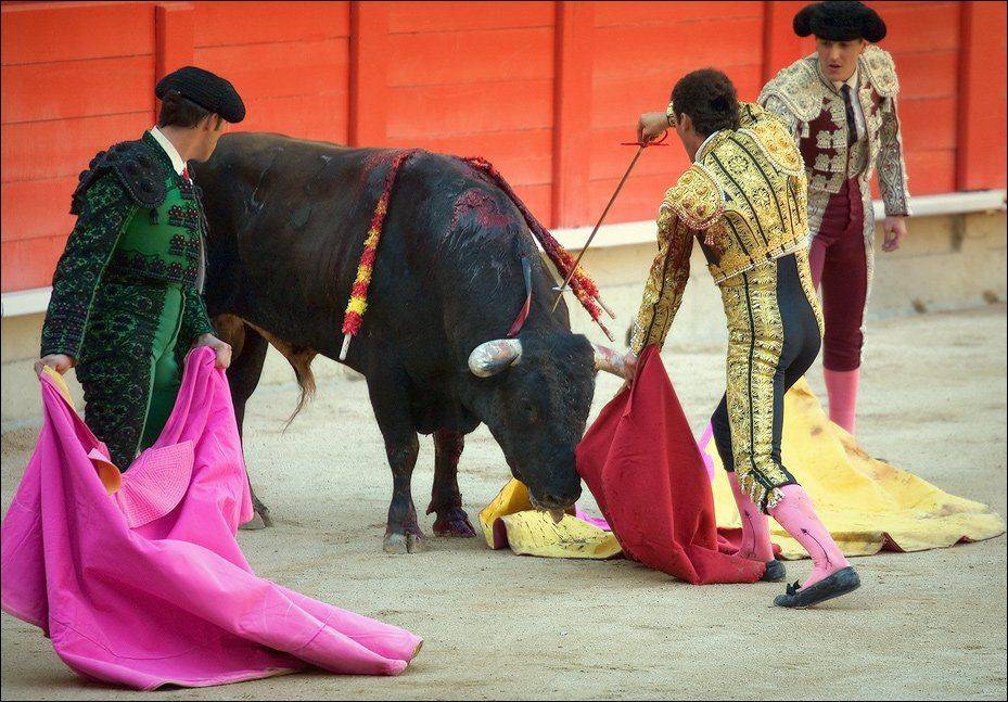 барселона, rAdis (Дмитрий Станякин)