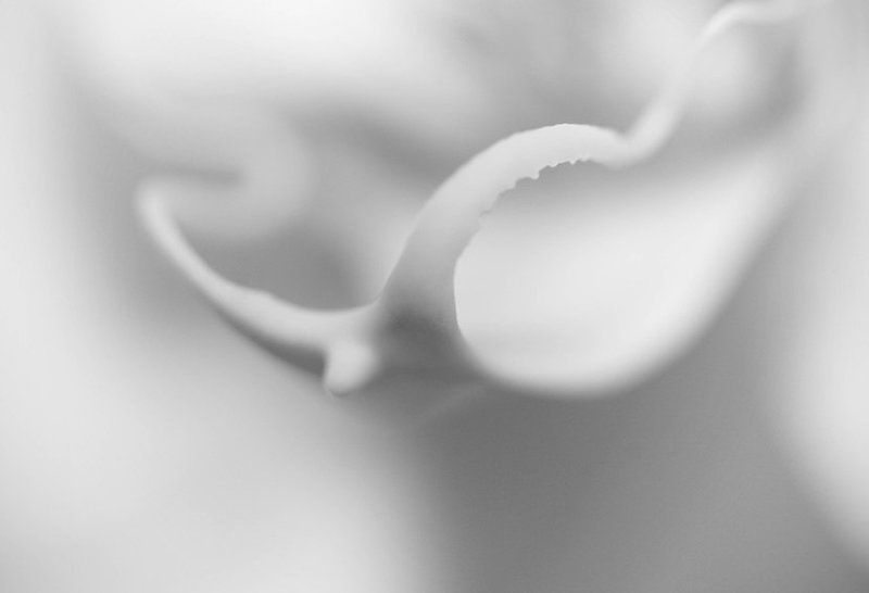 moloko фото превью