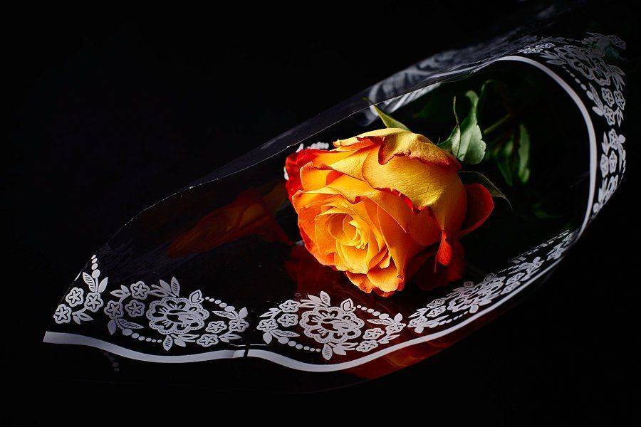 * * *, Роман Быков