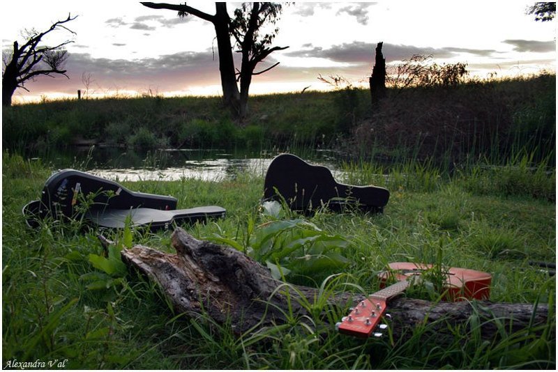 гитары, вода, австралия, река, зелень, мельбурн Guitars on the water фото превью