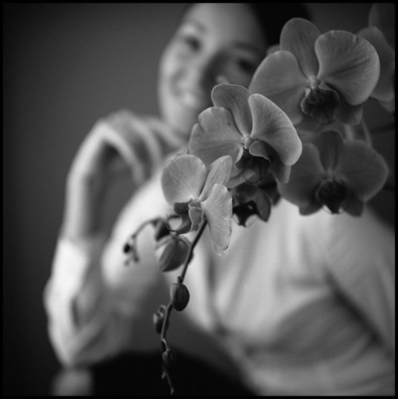 Орхидея фото превью