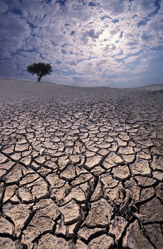 глобальное потепление фото превью