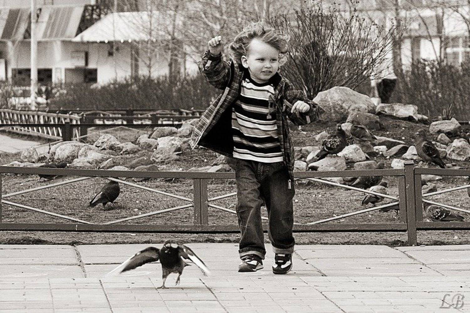 весна, малыш, голубь, бульвар, людмила, багдасарян, (lb), Lyudmila Bagdassarian