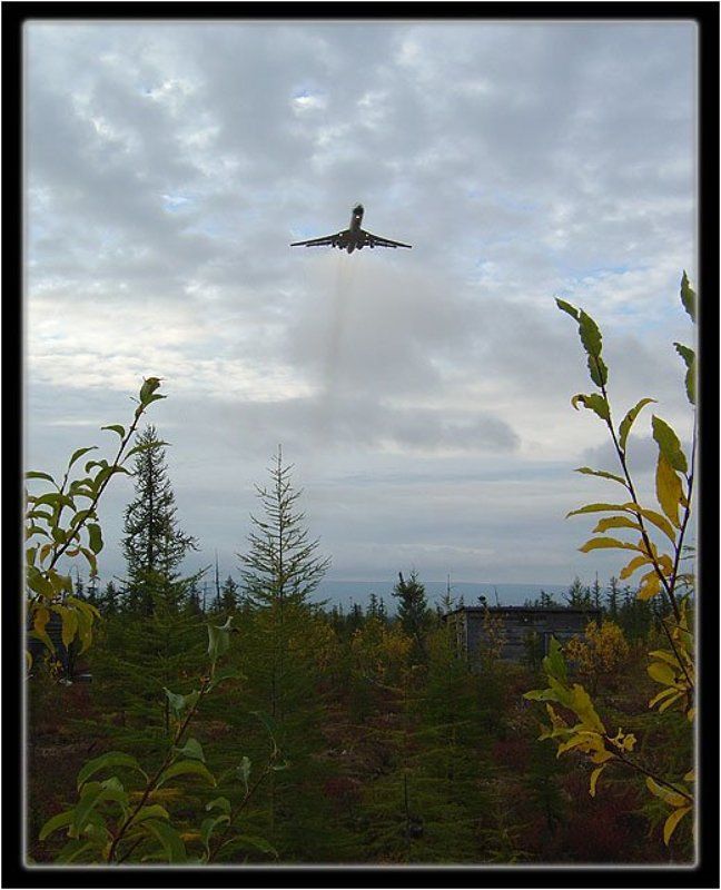 самолёт,тайга Под крылом самолёта фото превью