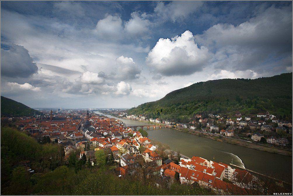 heidelberg, Алексей Селезнёв