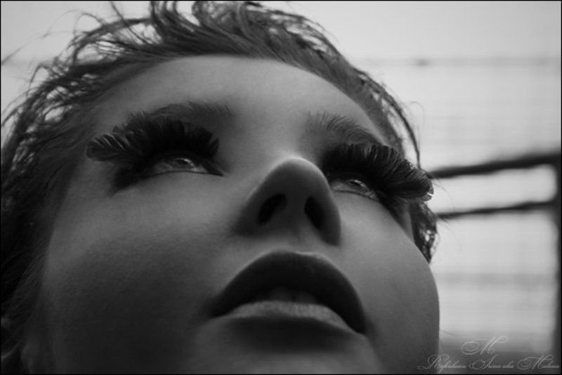 высавка ...полёт... фото превью