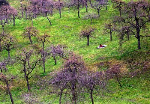Катание с горы на одеяле в весенний полдень.