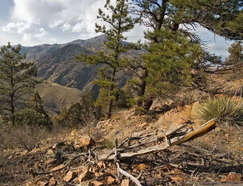 morrison, co Mt. Falcon фото превью