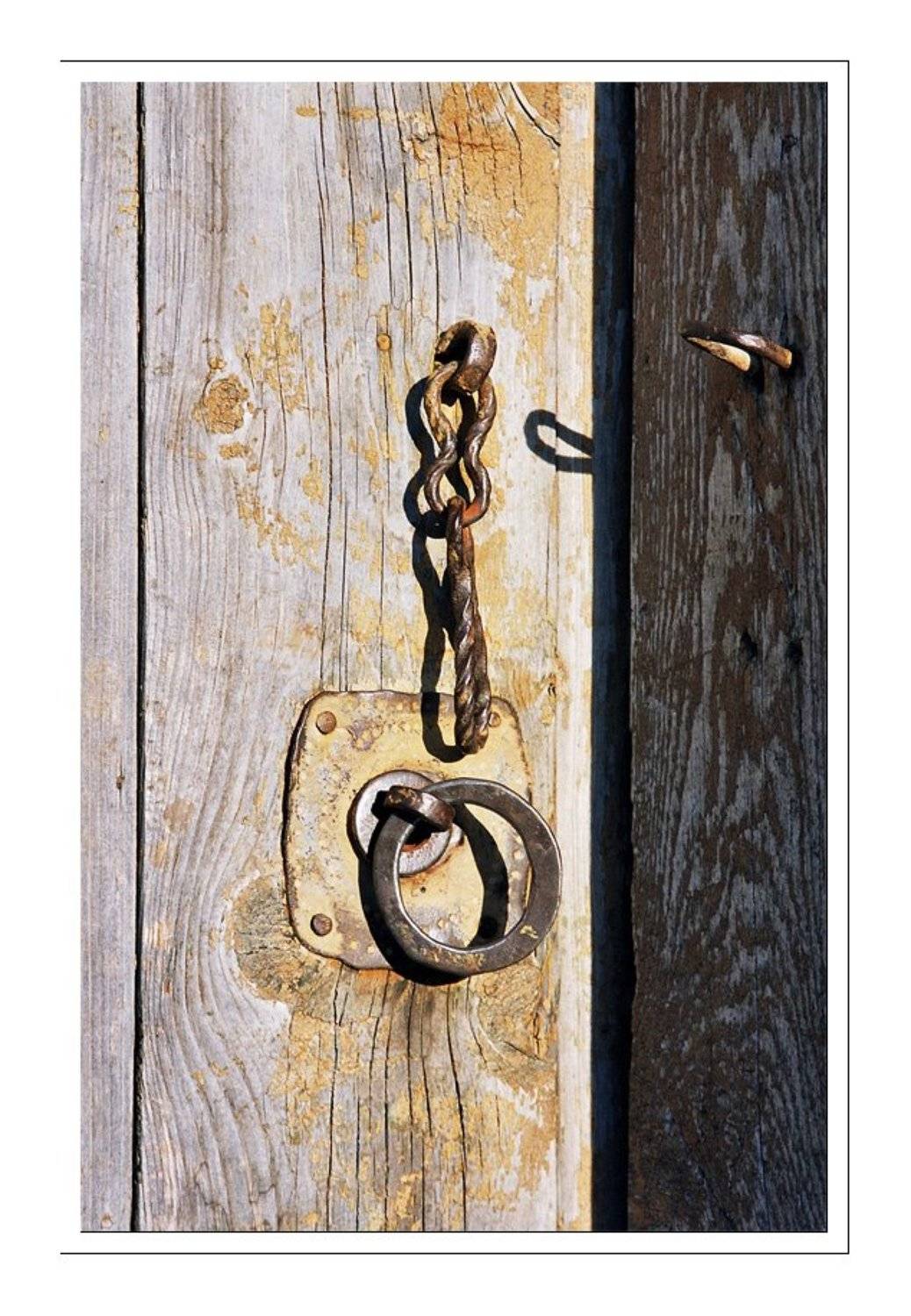 , Лунный Ежик