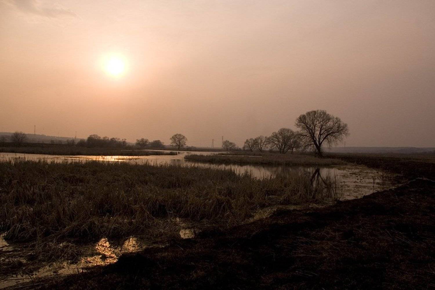 закат, природа, сеньково, wizzard