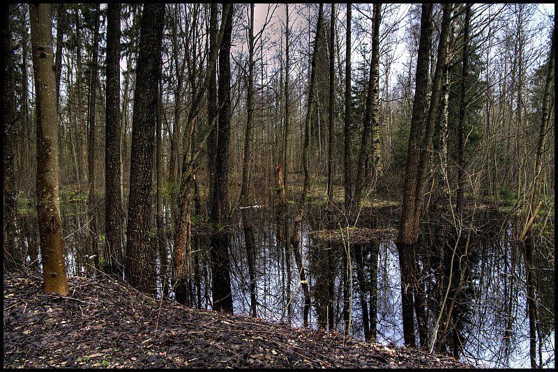 кемери Нам не дожить до Весны (1) фото превью
