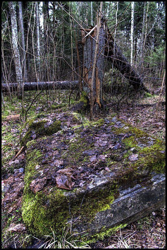 кемери Нам не дожить до Весны (2) фото превью
