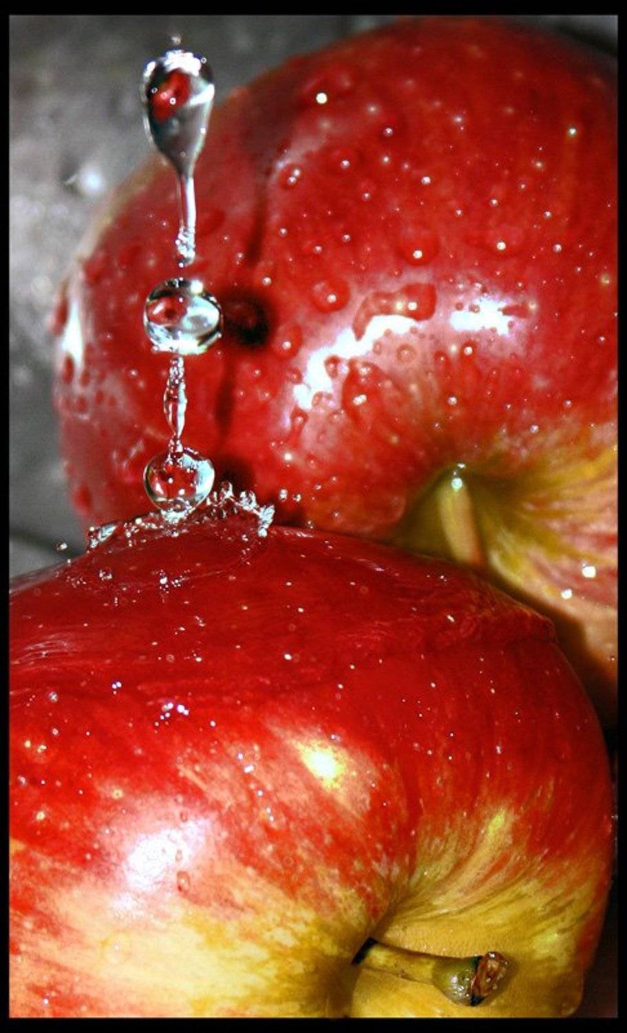 , Алексанр С.