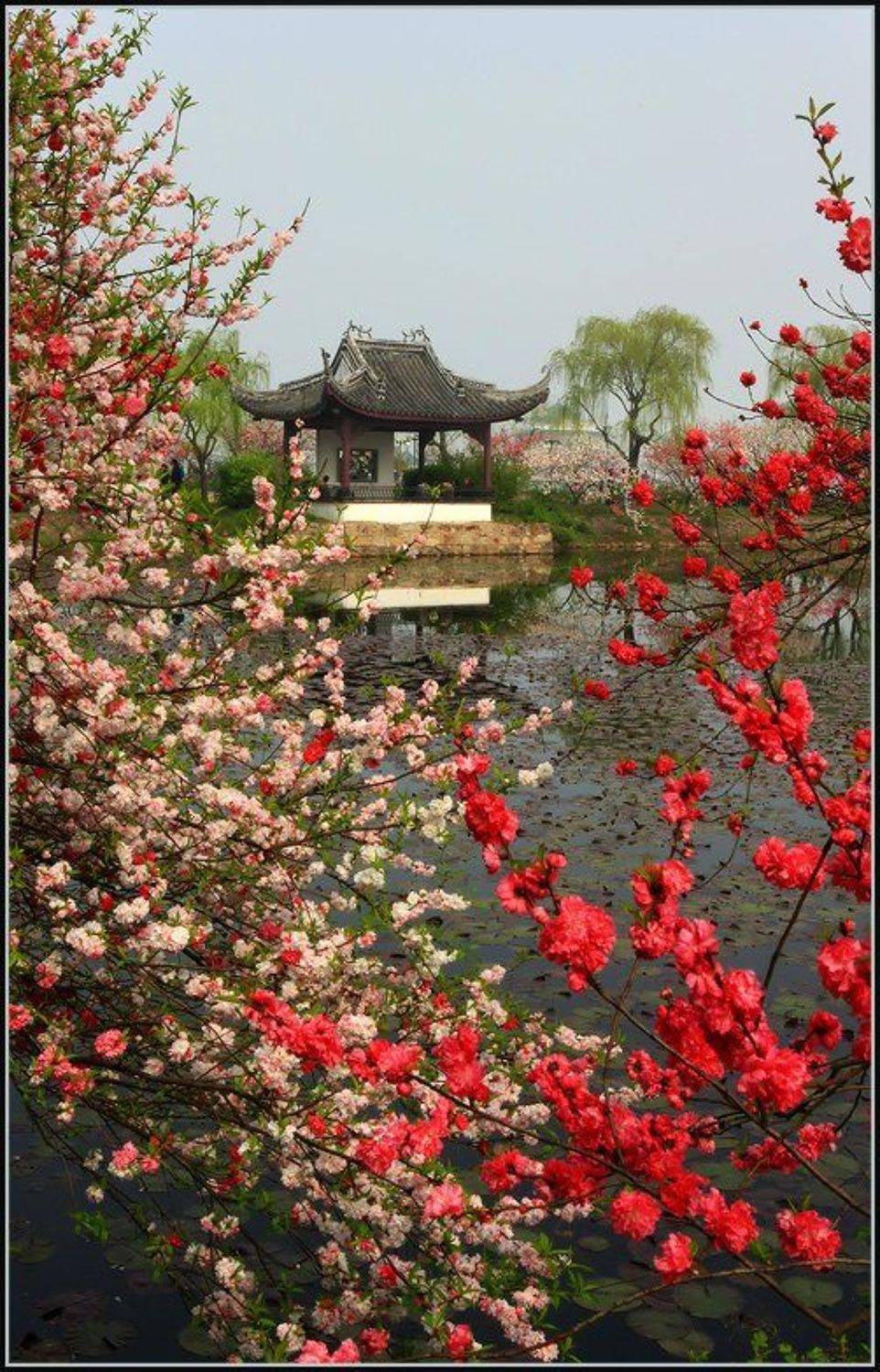 , Марина Кочетова