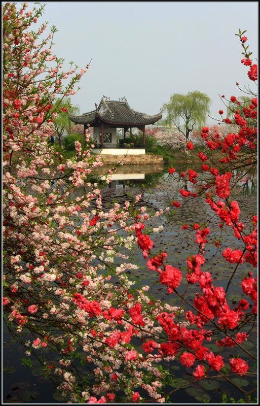 Весна в китайском парке фото превью