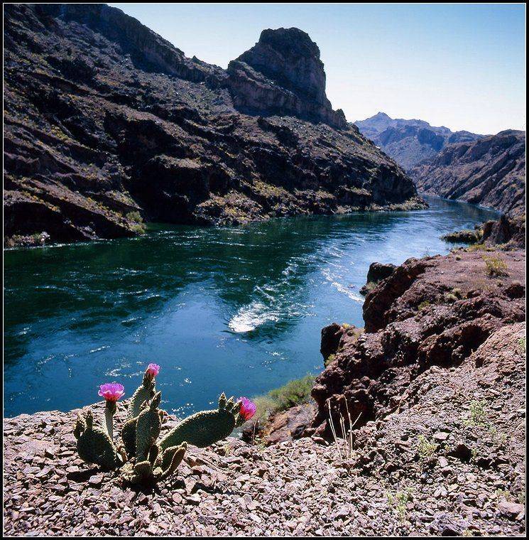 америка, каньон, весна, горы, колорадо, река, Григорий Иващенко