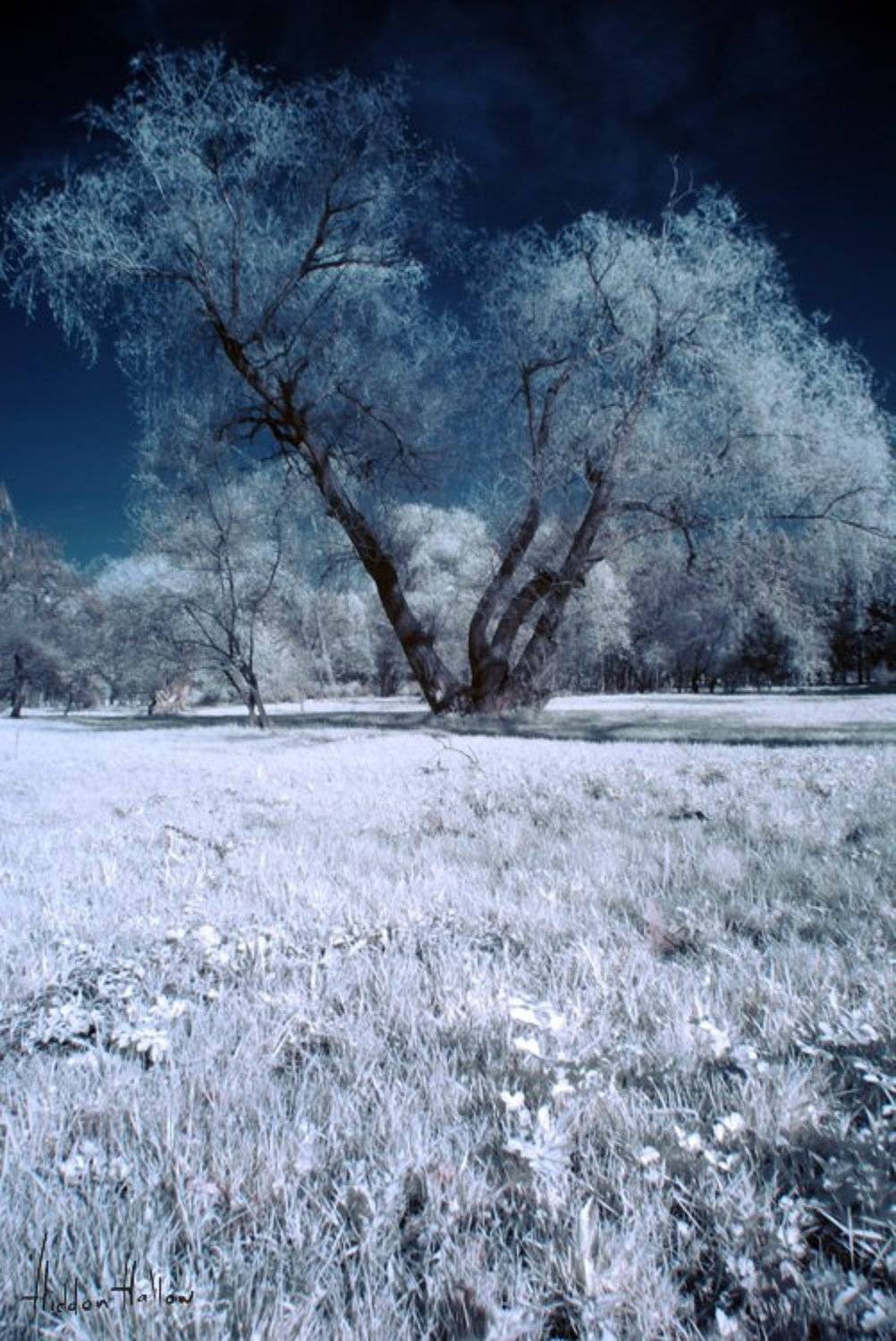 , Кирилл Кириллов