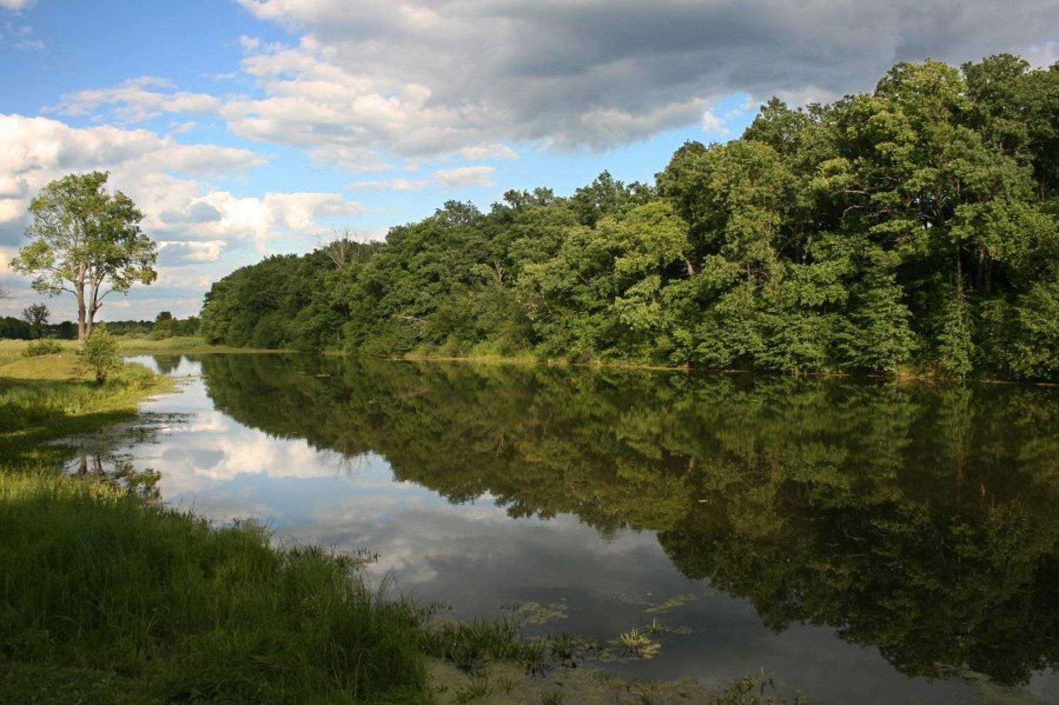 озеро, лето, Алексей Самарин