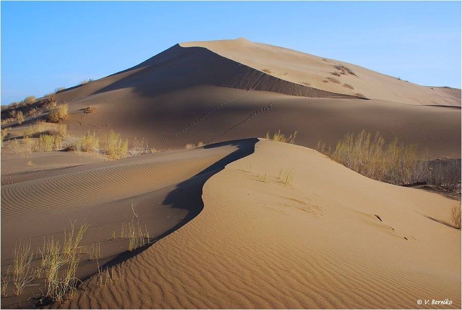 поющий, бархан, Вадько