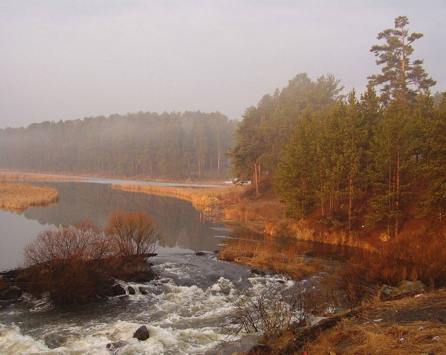 весна, туман, утро, Наталья Герасименко