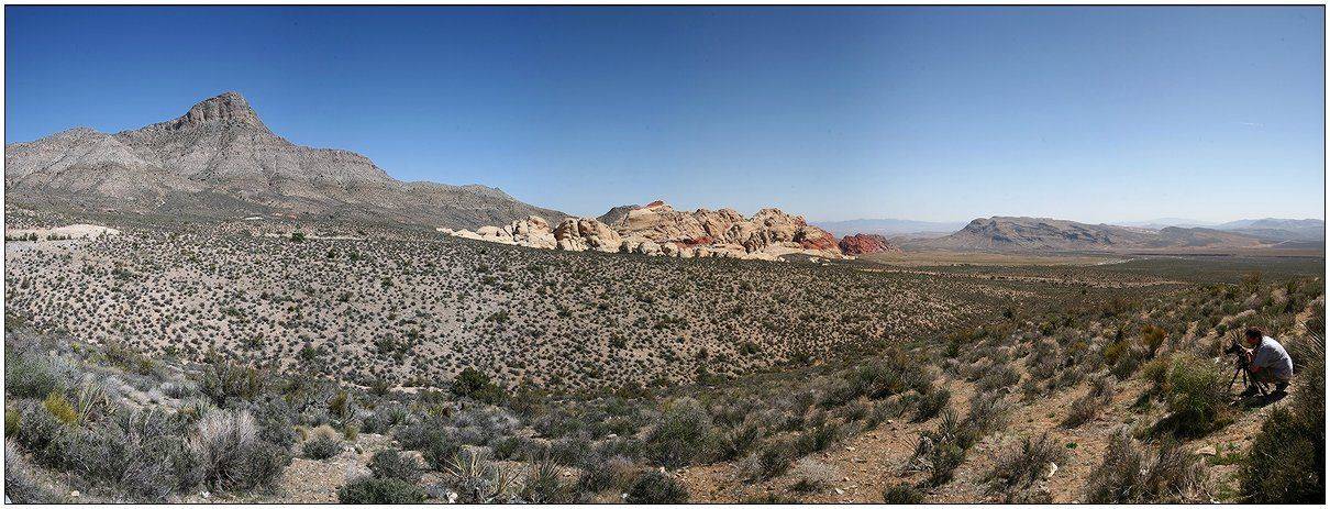 пустыня, америка, аризона, весна, Григорий Иващенко