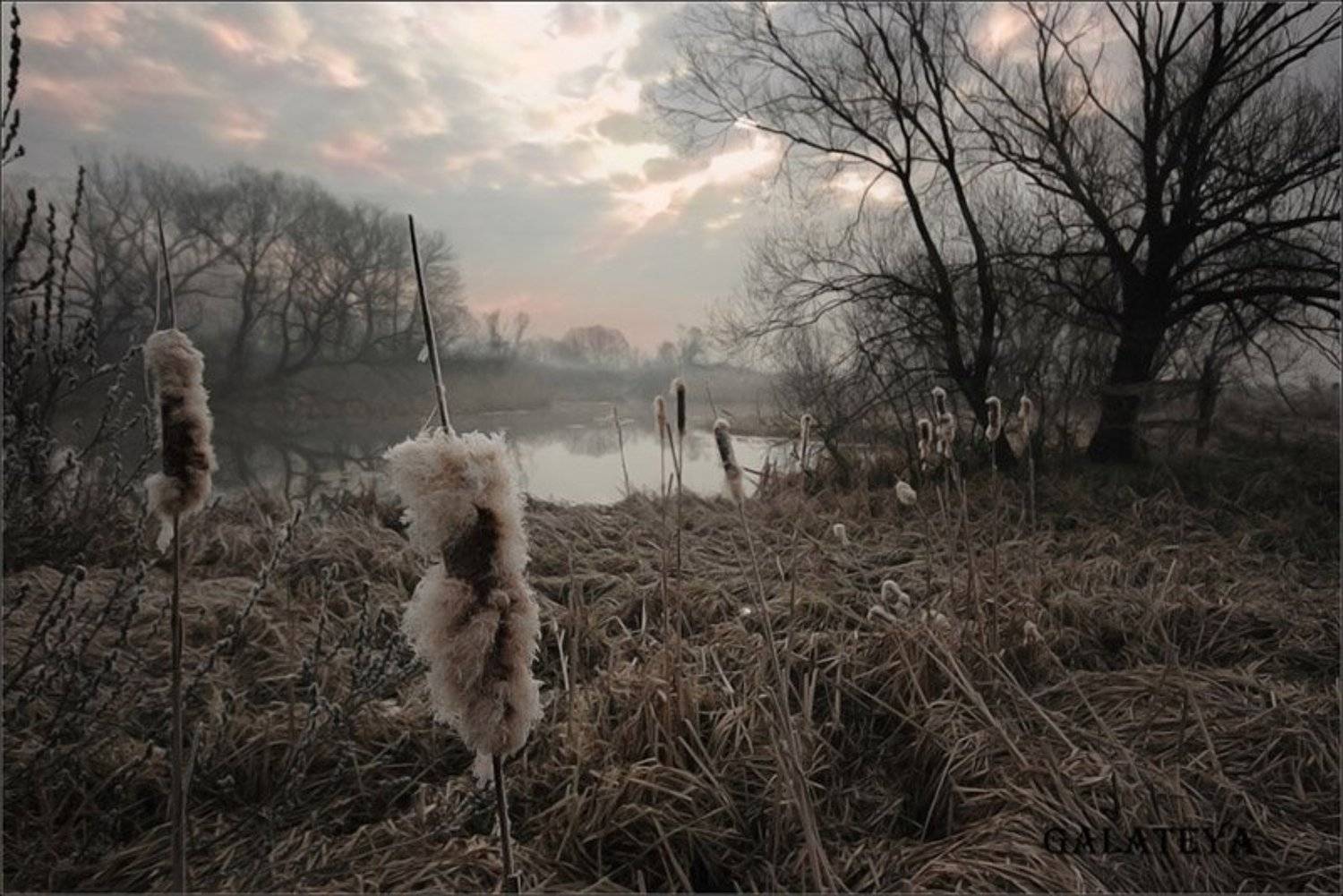 озеро, камыши, туман, Galateya