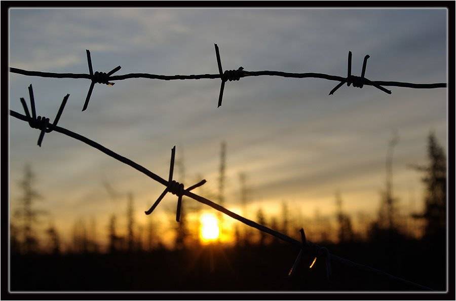 колючка, Солодухин Виктор