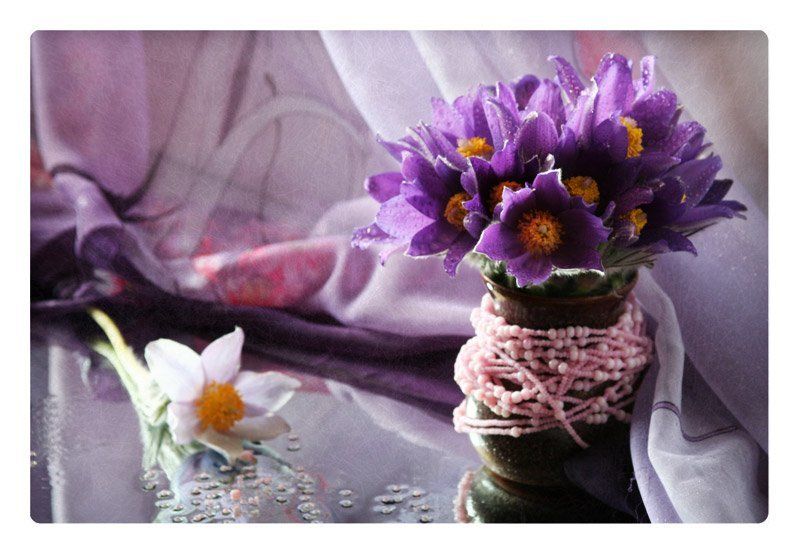 нежность Подснежники фото превью