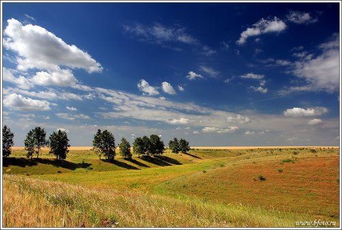 Летняя открытка