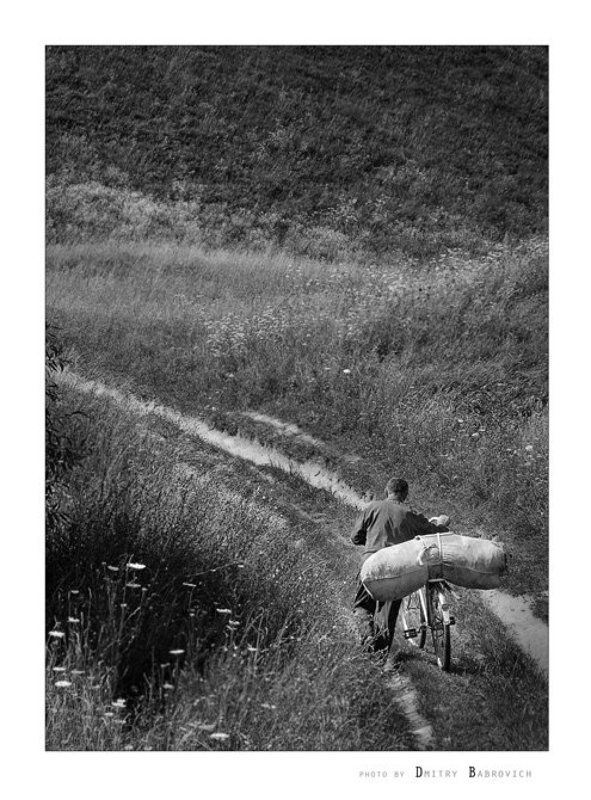 on the way home фото превью