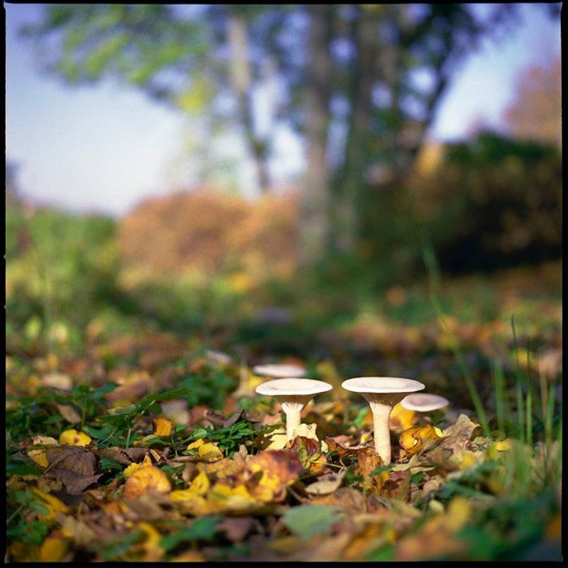 Медитативный пейзаж фото превью