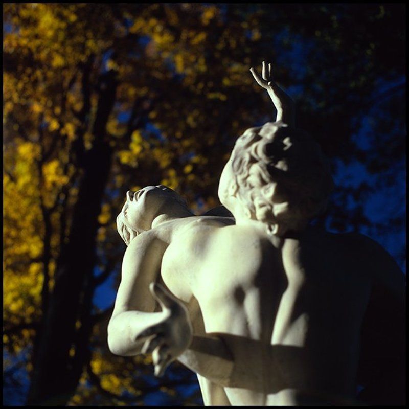 Летний сад. Осень. фото превью