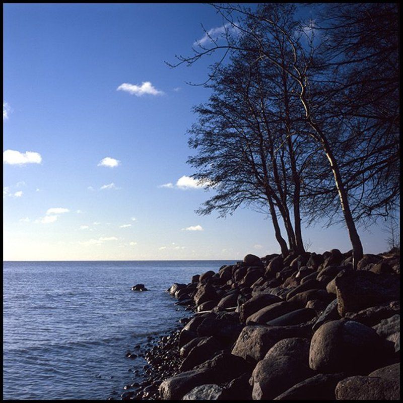 Ноябрь. Залив. фото превью