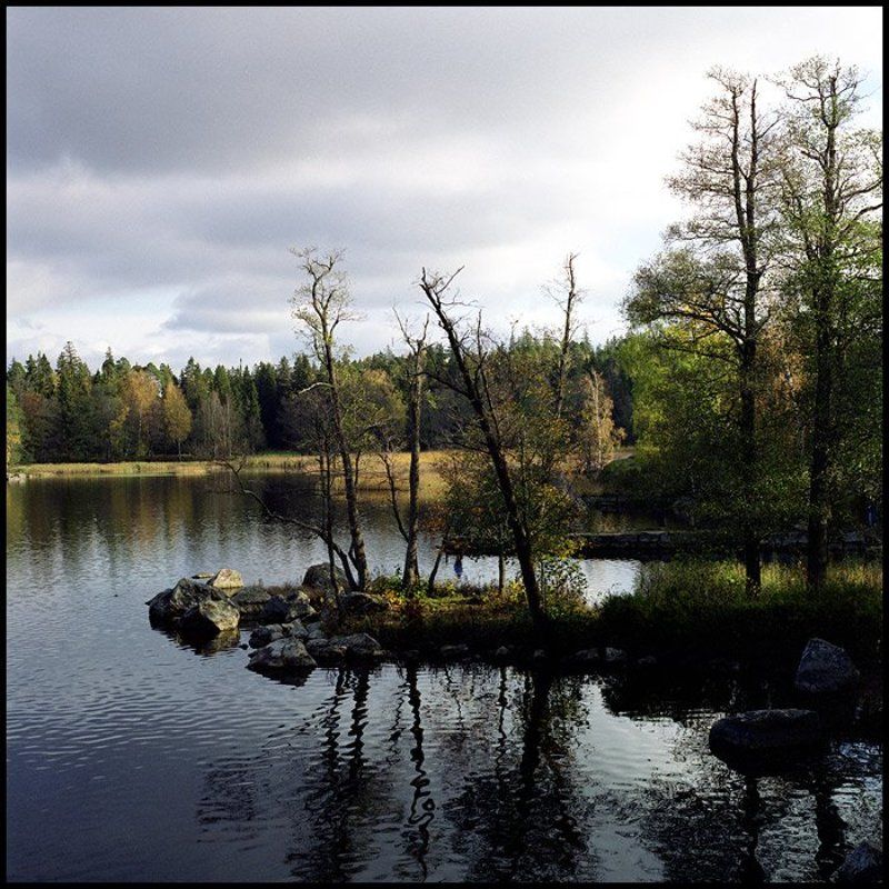 Монрепо фото превью