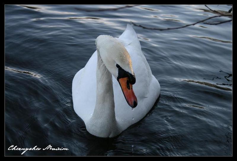 Смущение фото превью