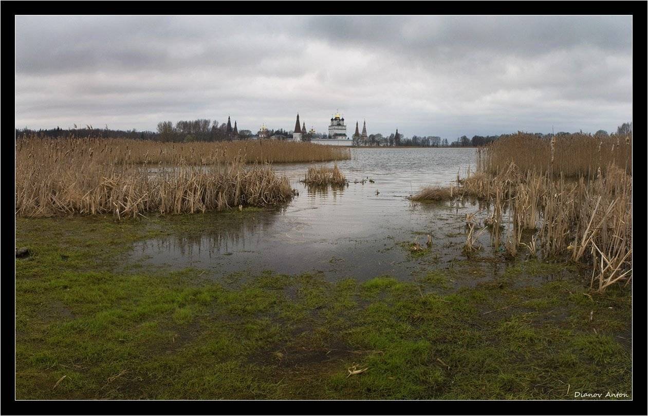иосифо-волоцкий монастырь, Тоша