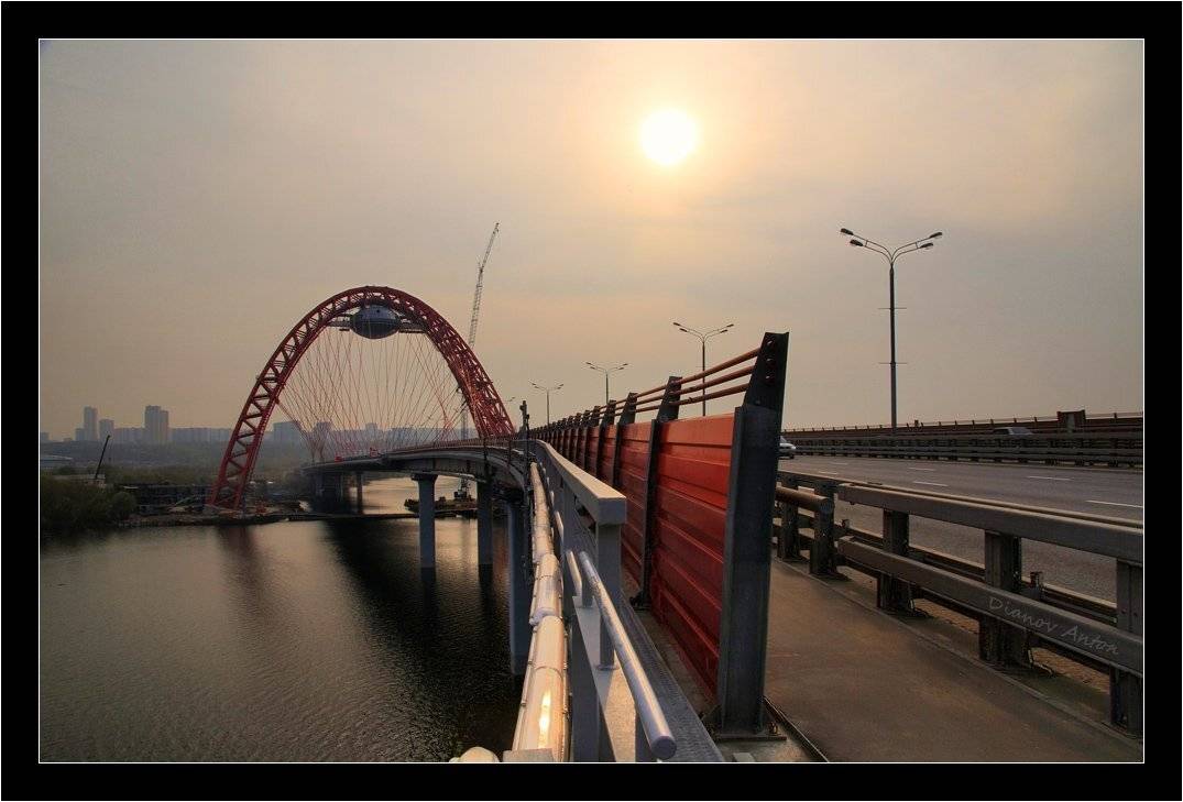 новорижский мост, серебряный бор, Тоша