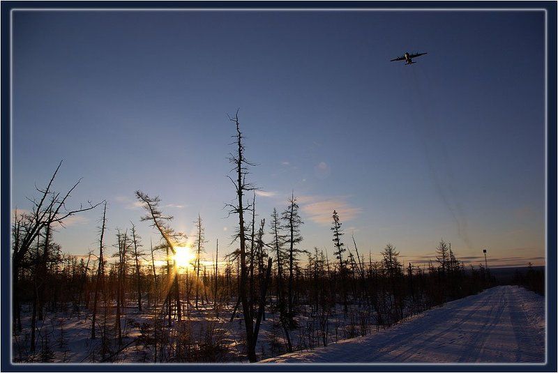 самолёт,рассвет,тайга,зима На рассвете фото превью