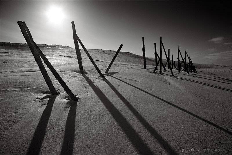 мурманск, Александр Рогачёв