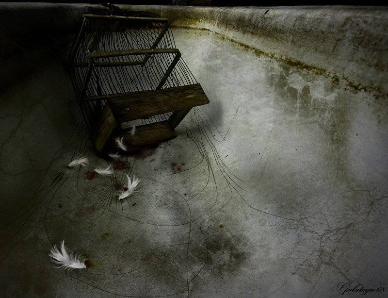 клетка, мрачно грязь, Galateya