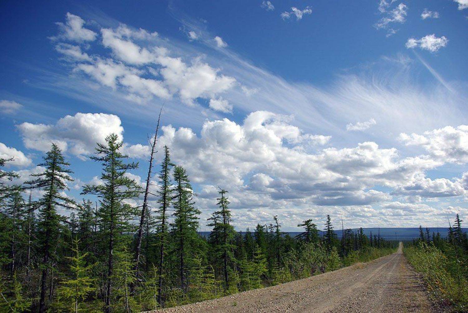 тайга,дорога,облака, Солодухин Виктор