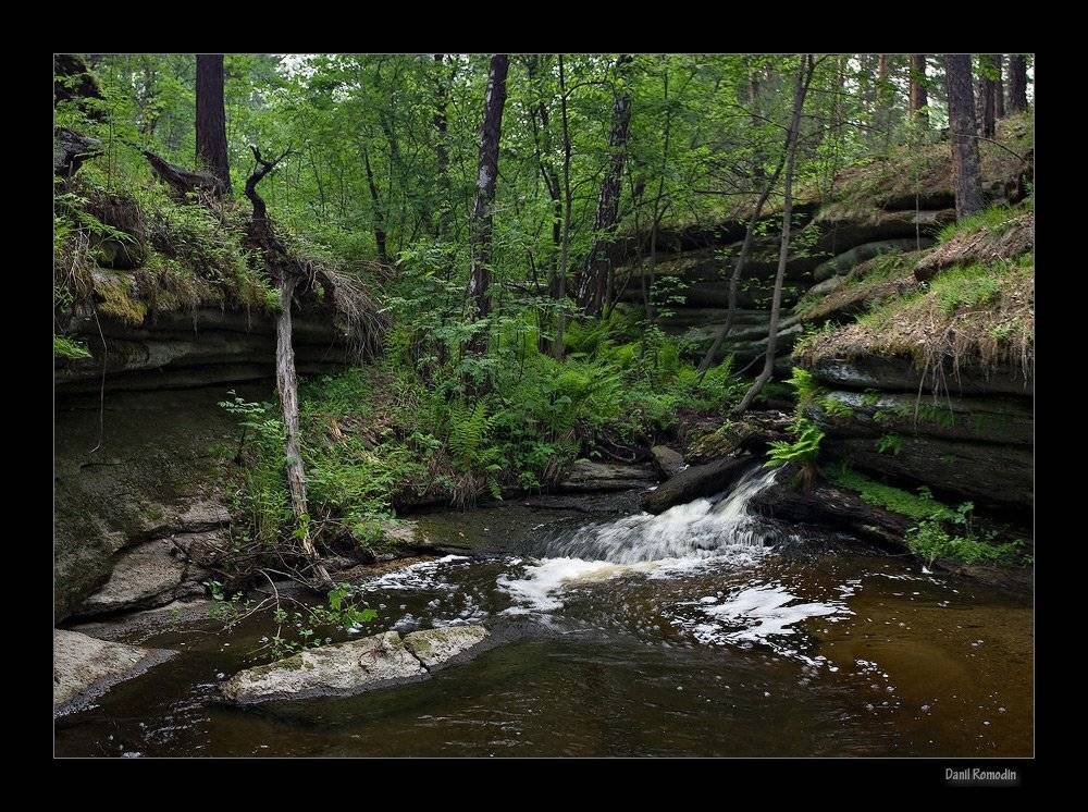 , Данил Ромодин