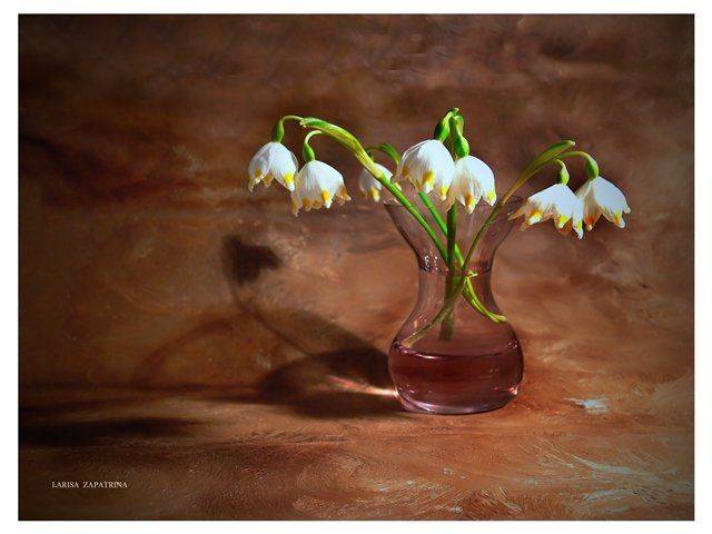 , Лариса Запатрина