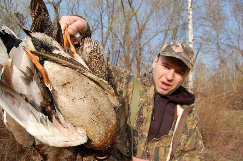 утки, охотник, охота Удачная охота фото превью