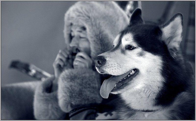 Чумовые будни