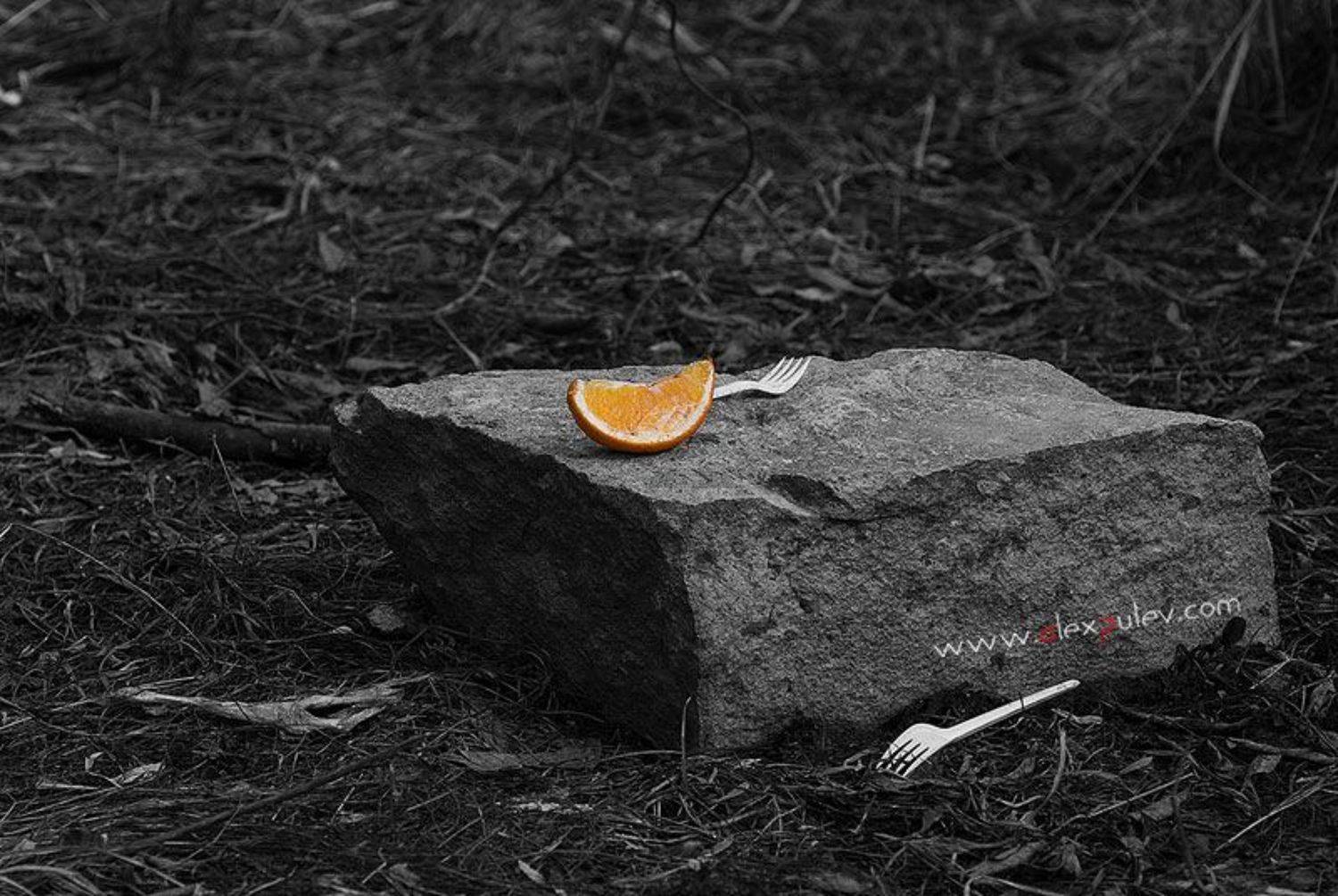 пикник,жанр,мысли, Александр Путев