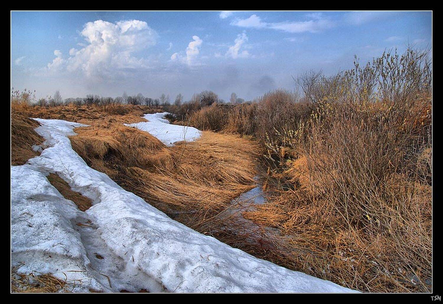 , Сергей Требунских