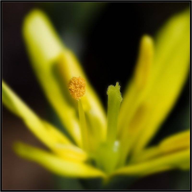 , Качурин Алексей