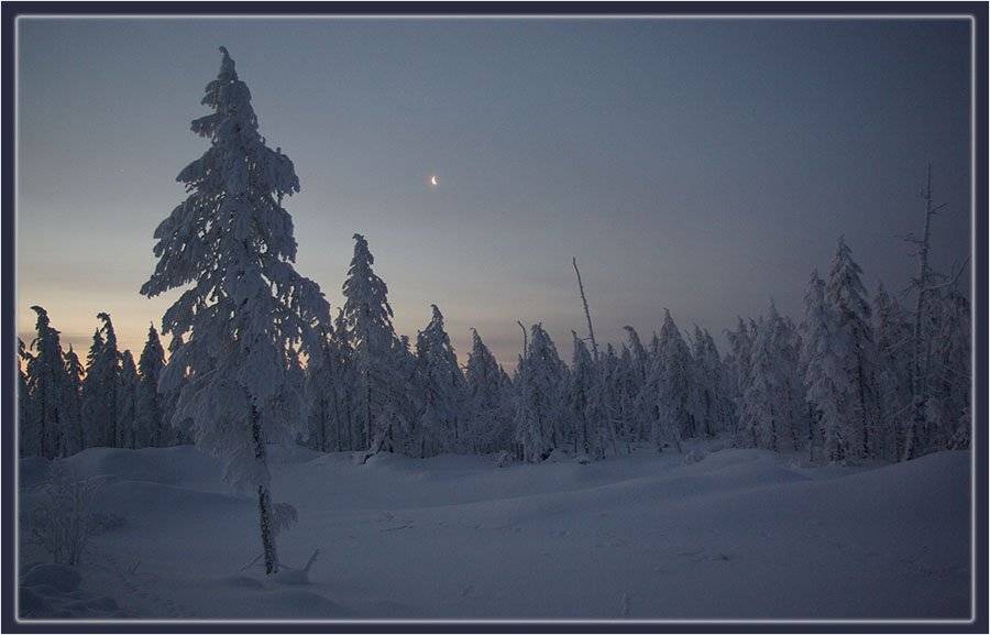 тайга,вечер,тишина,мороз, Солодухин Виктор